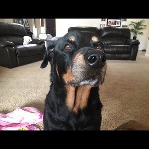 Meet your Posher, Heather